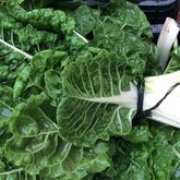 Fresh organic veggies